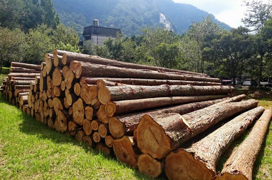 完善的木材服務(wù)體系